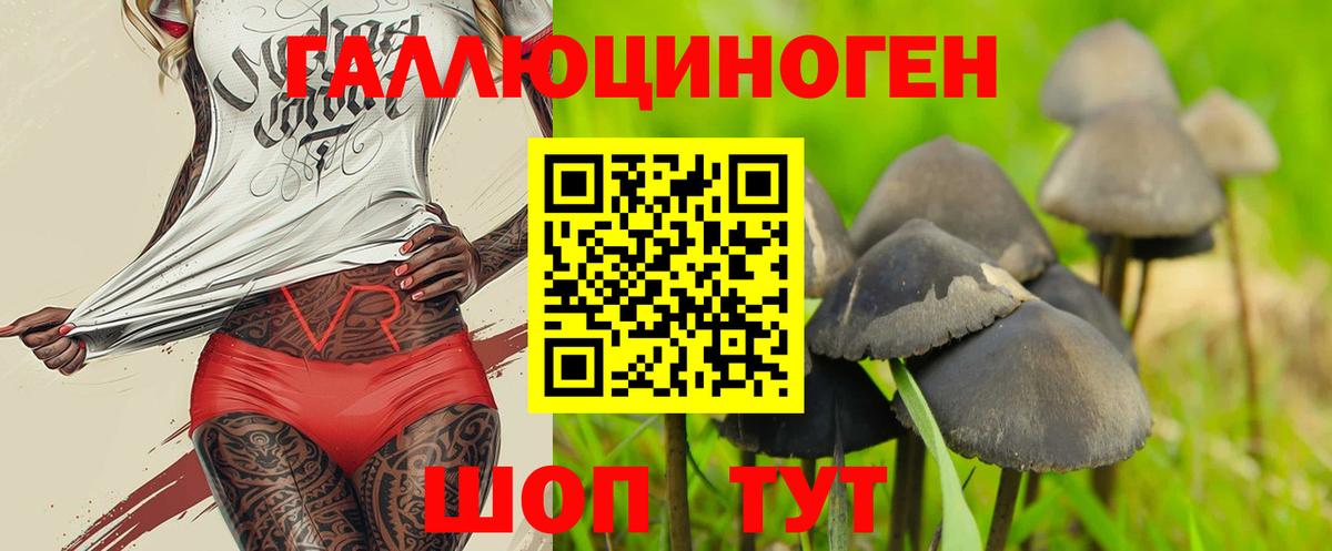 Галлюциногенные грибы Cubensis Губкинский